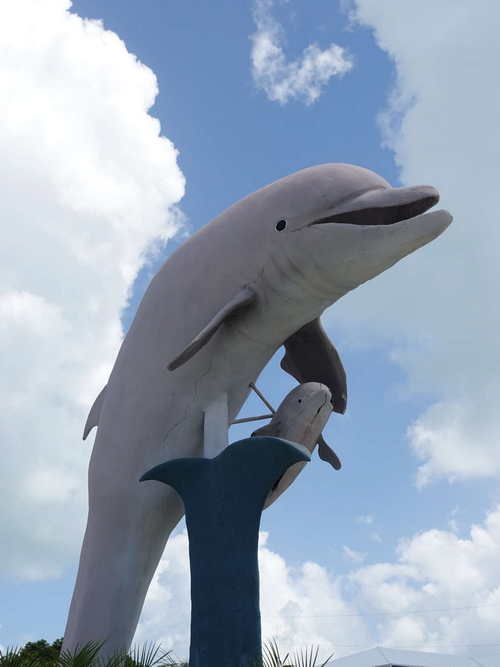 MIA_2023-08-11 11-51-47_RX_05844